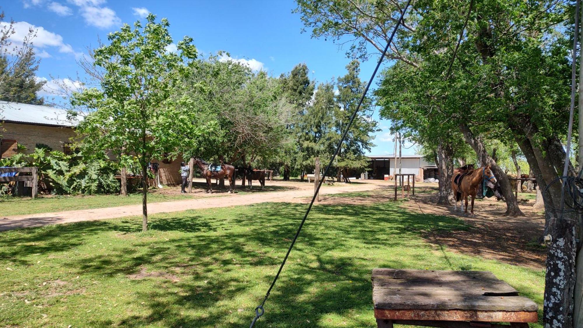 Cabana Rural El Encuentro 圣安东尼奥德阿雷科 客房 照片